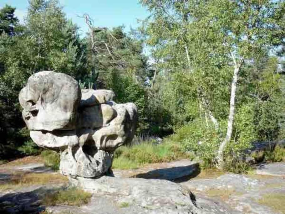 La Pause Allongee - Fontainebleau Hypercentre Extérieur photo
